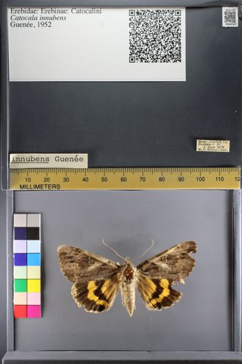Media type: image;   Entomology 640187